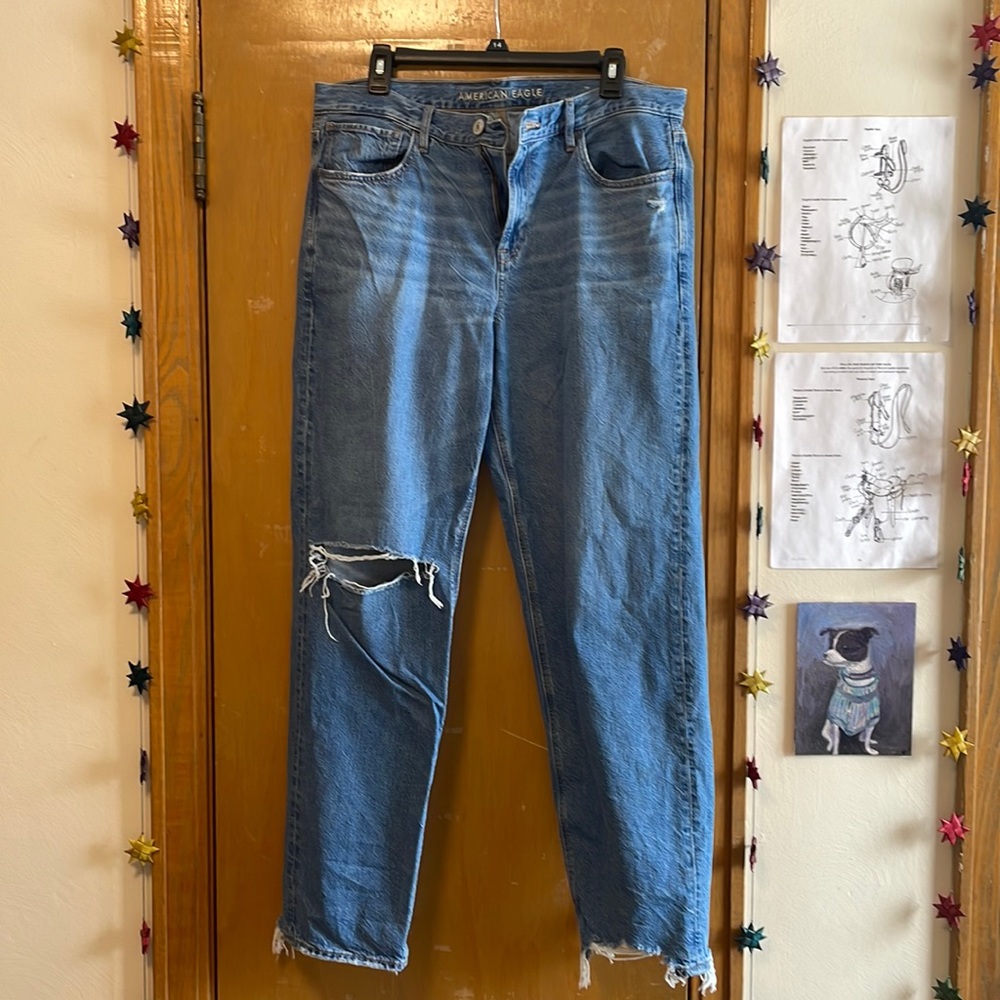 American Eagle Blue Jean!